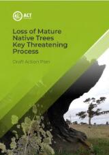 Thumbnail - Loss of mature native trees key threatening process : draft action plan