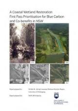 Thumbnail - A coastal wetland restoration first pass prioritisation for blue carbon and co-benefits in NSW