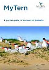 Thumbnail - My tern : a pocket guide to the terns of Australia