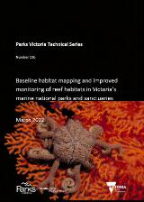 Thumbnail - Baseline habitat mapping and improved monitoring of reef habitats in Victoria's marine national parks and sanctuaries
