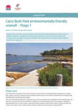 Thumbnail - Carss Bush Park environmentally friendly seawall : stage 1