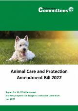 Thumbnail - Animal Care and Protection Amendment Bill 2022 : Report No. 23, 57th Parliament State Development and Regional Industries Committee.