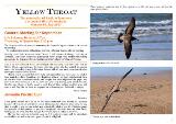 Thumbnail - Yellow throat : the newsletter of BirdLife Tasmania, a branch of BirdLife Australia.