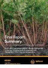 Thumbnail - Final report summary : sustainable invertebrate pest and disease management in tea tree : scoping study of integrated pest management (IPM) in tea tree oil plantations.