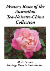 Thumbnail - Mystery roses of the Australian Tea-Noisette-China Collection