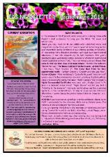 Thumbnail - Toowoomba Art Society newsletter.