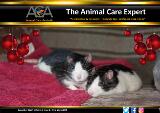 Thumbnail - Animal Care Expert.