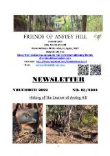 Thumbnail - Newsletter