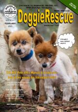 Thumbnail - DoggieRescue.
