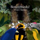 Thumbnail - Bowerbirds!