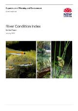 Thumbnail - River condition index : method report