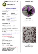 Thumbnail - Townsville Orchid Society Inc. bulletin.