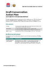 Thumbnail - Austral pipewort (Eriocaulon australasicum) : draft conservation action plan