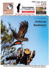 Thumbnail - Southern Chronicles.