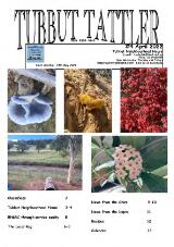 Thumbnail - Tubbut Tattler.