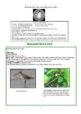 Thumbnail - Newsletter