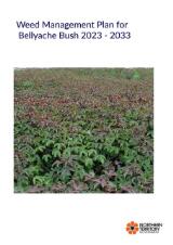 Thumbnail - Weed management plan for Bellyache Bush 2023-2033.