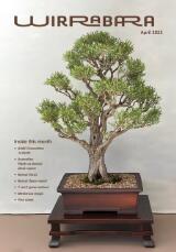 Thumbnail - Wirrabara