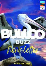 Thumbnail - Bulloo Shire Council