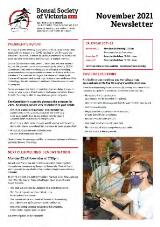 Thumbnail - Newsletter