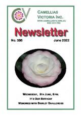 Thumbnail - Newsletter