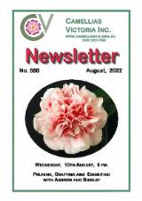 Thumbnail - Newsletter