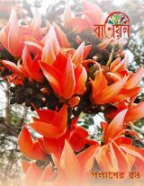 Thumbnail - Batayan sankalan.