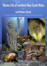 Thumbnail - Marine life of northern NSW and Lord Howe Island : a guide for beach walkers, snorkelers and scuba divers
