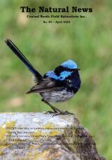 Thumbnail - The natural news