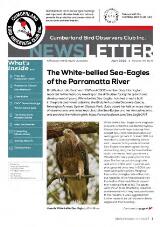 Thumbnail - Newsletter