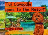 Thumbnail - Tui Cavoodle goes to the Resort : Tui Cavoodle.