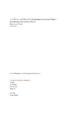 Thumbnail - Final Phase I and II Archaeological Excavation Report Roundhouse Remediation Works Macquarie Point.