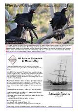 Thumbnail - The Apollo Bay news.