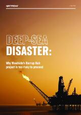 Thumbnail - Deep-sea disaster : why Woodside's Burrup Hub project is too risky to proceed