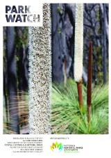 Thumbnail - Park watch