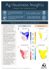 Thumbnail - Agribusiness Insights.
