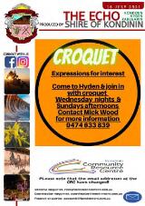 Thumbnail - The Echo.