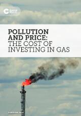 Thumbnail - Pollution and price : the cost of investing in gas