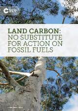 Thumbnail - Land carbon : no substitute for action on fossil fuels