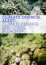 Thumbnail - Climate change and coral bleaching.