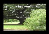 Thumbnail - Willow waltz for four recorders