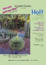 Thumbnail - Capital Cactus : July 2023.