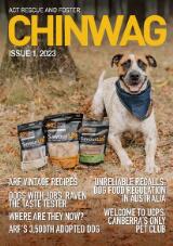 Thumbnail - ChinWag.