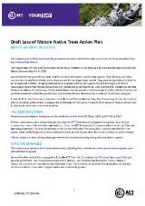 Thumbnail - Draft loss of mature native trees action plan : report on what we heard.