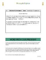 Thumbnail - Pineapple express.