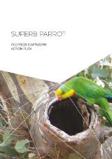 Thumbnail - Superb parrot polytelis swainsonii action plan.