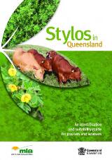 Thumbnail - Stylos in Queensland : an identification and suitability guide for graziers and advisers