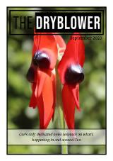 Thumbnail - The dryblower.