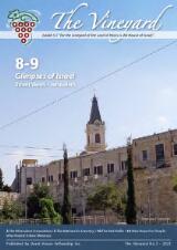 Thumbnail - The Vineyard.