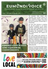 Thumbnail - Eumundi voice Sharing the community voice of Eumundi and its hinterland